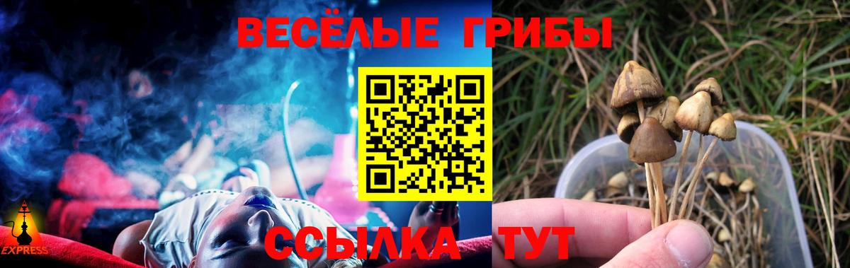 Отрадное  Псилоцибиновые грибы Magic Shrooms  Псилоцибиновые грибы Psilocybe  Вход с VPN 